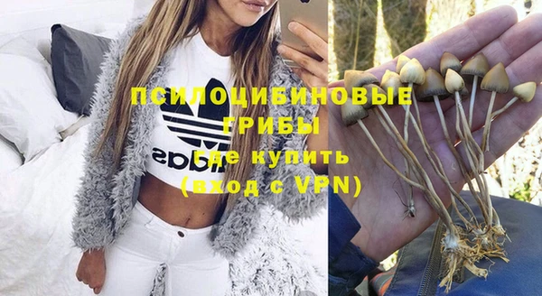 метадон Покачи